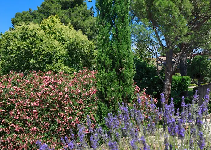 Auberge de Cassagne&Spa